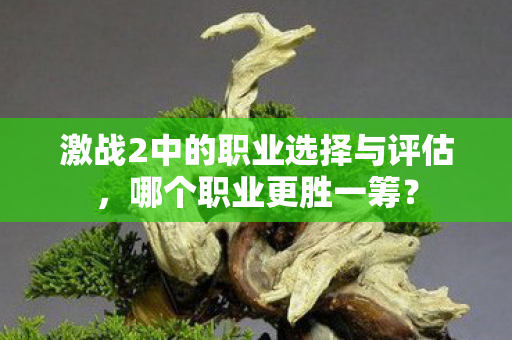 激战2中的职业选择与评估图片