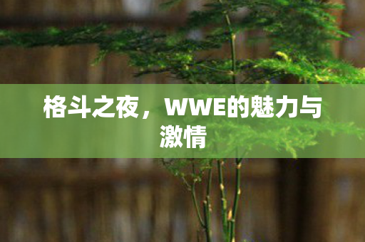 WWE的魅力与激情图片
