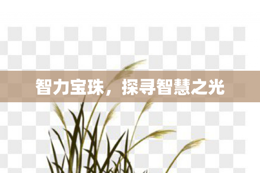 探寻智慧之光图片