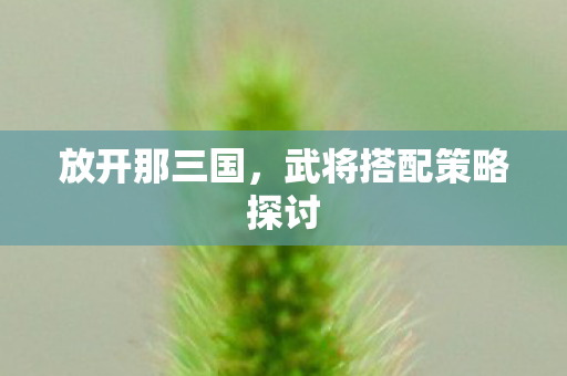 武将搭配策略探讨图片