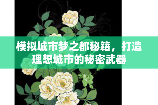 打造理想城市的秘密武器图片