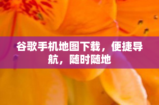 谷歌手机地图下载图片