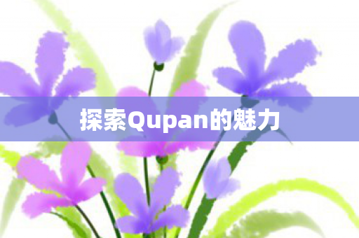 探索Qupan的魅力图片