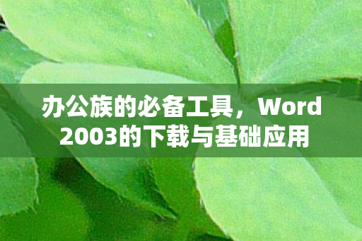 Word 2003的下载与基础应用图片