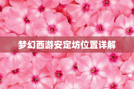 梦幻西游安定坊位置详解图片