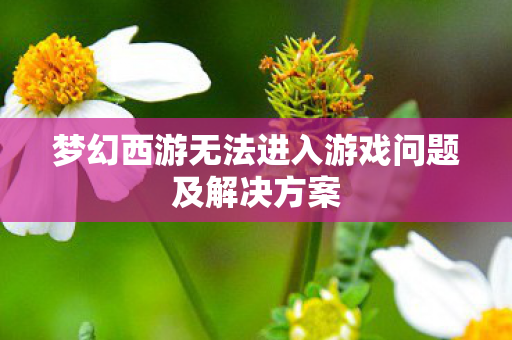 梦幻西游无法进入游戏问题及解决方案图片