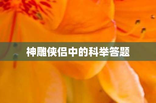 神雕侠侣中的科举答题图片