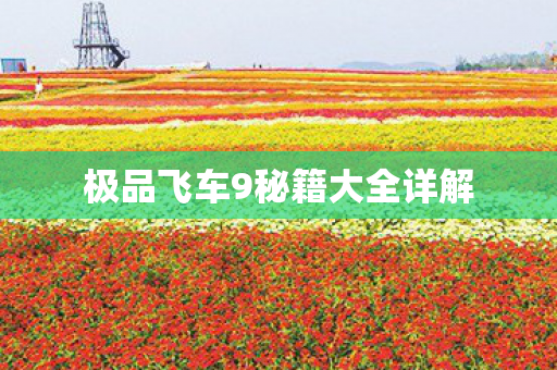 极品飞车9秘籍大全详解图片