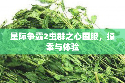 星际争霸2虫群之心国服图片