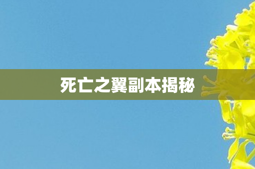 死亡之翼副本揭秘图片