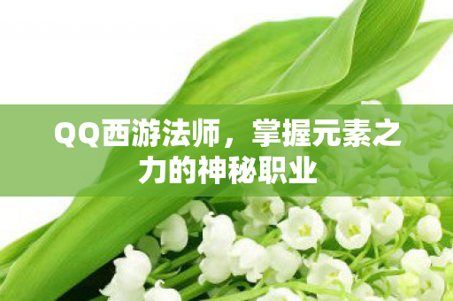 掌握元素之力的神秘职业图片