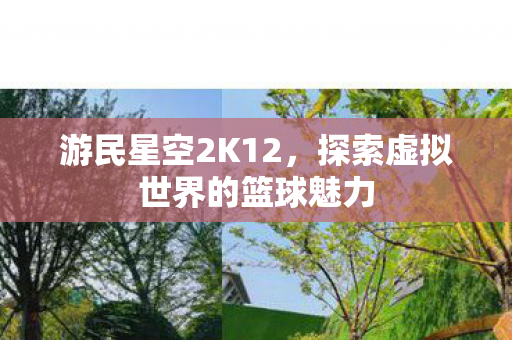 探索虚拟世界的篮球魅力图片