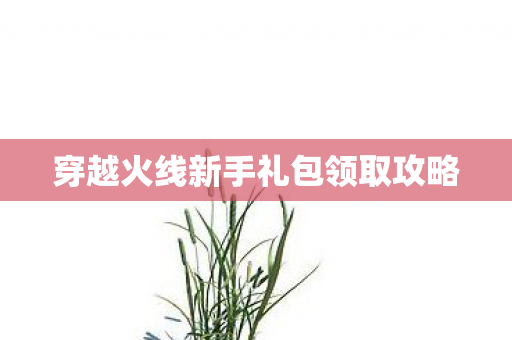 穿越火线新手礼包领取攻略图片
