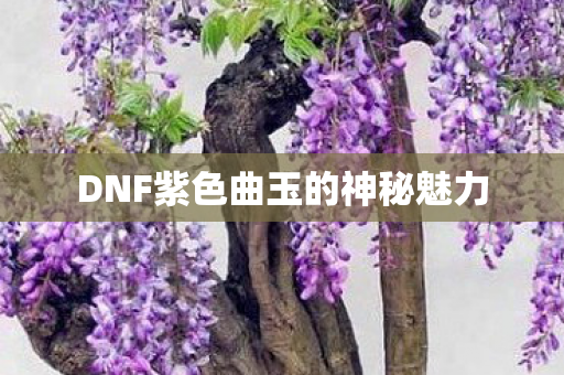 DNF紫色曲玉的神秘魅力图片