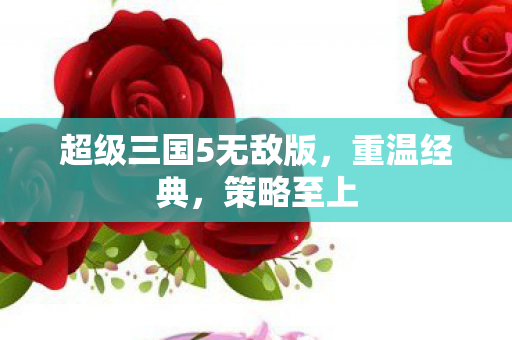 超级三国5无敌版图片