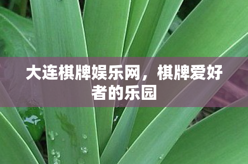 棋牌爱好者的乐园图片