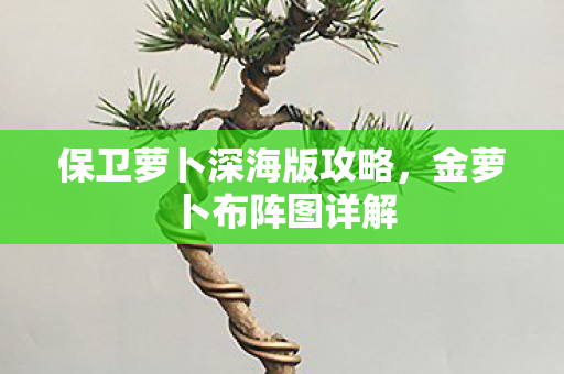 保卫萝卜深海版攻略图片