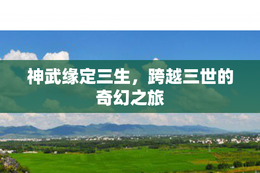 跨越三世的奇幻之旅图片