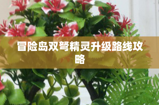 冒险岛双弩精灵升级路线攻略图片