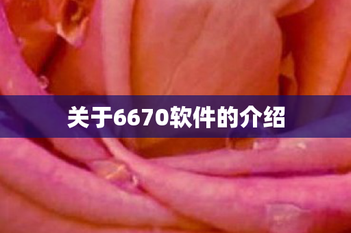 关于6670软件的介绍图片