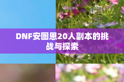 DNF安图恩20人副本的挑战与探索图片
