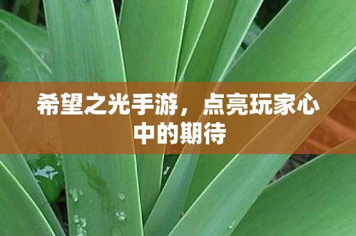 点亮玩家心中的期待图片