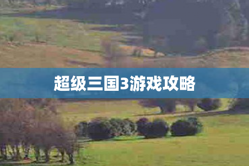 超级三国3游戏攻略图片