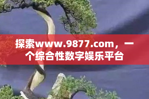 一个综合性数字娱乐平台图片