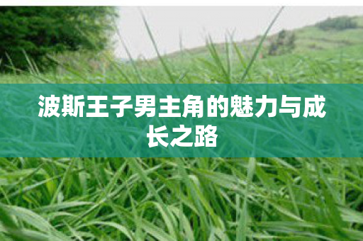 波斯王子男主角的魅力与成长之路图片
