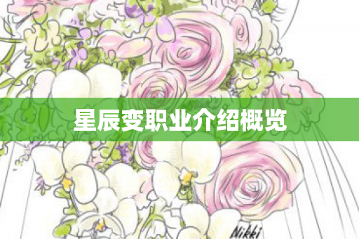 星辰变职业介绍概览图片