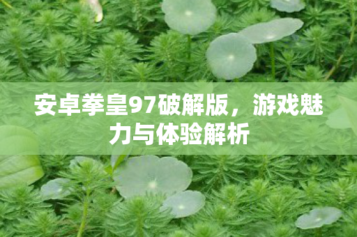 安卓拳皇97破解版图片