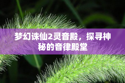 探寻神秘的音律殿堂图片