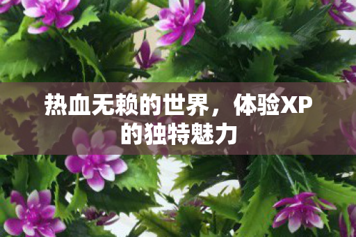 体验XP的独特魅力图片