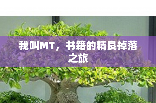 书籍的精良掉落之旅图片