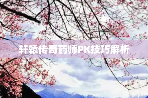 轩辕传奇药师PK技巧解析图片