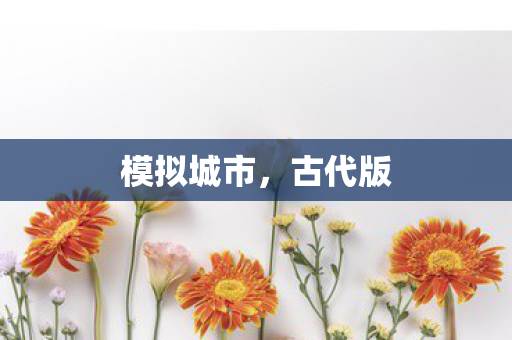 模拟城市图片