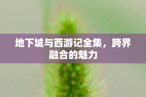 地下城与西游记全集图片