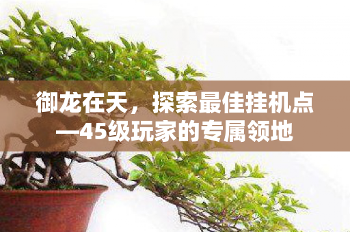 45级玩家的专属领地图片