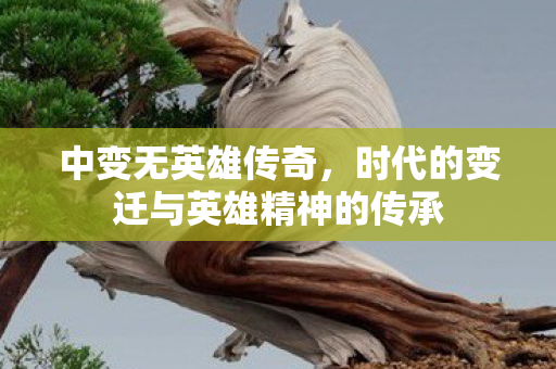 时代的变迁与英雄精神的传承图片