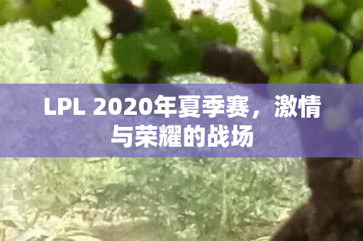 LPL 2020年夏季赛图片