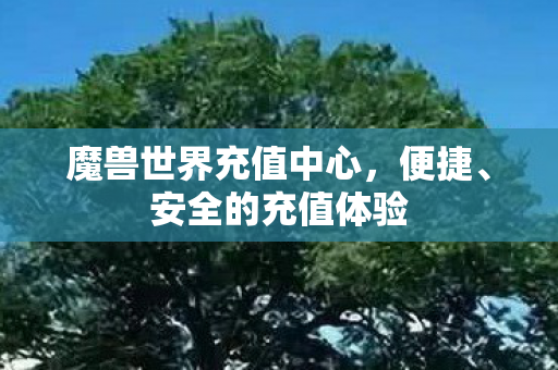 魔兽世界充值中心图片