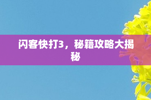 秘籍攻略大揭秘图片