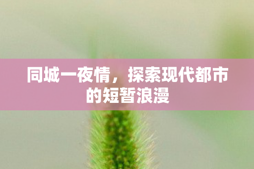 探索现代都市的短暂浪漫图片