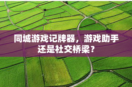 游戏助手还是社交桥梁图片