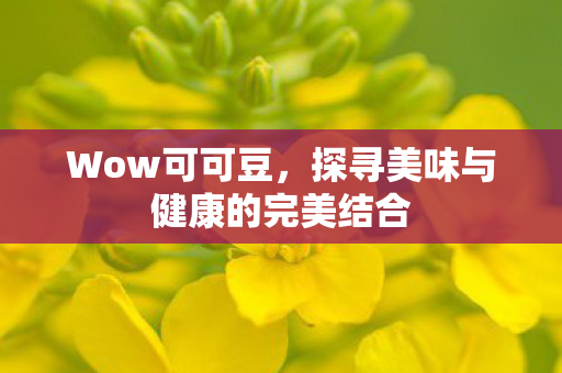 探寻美味与健康的完美结合图片