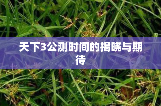 天下3公测时间的揭晓与期待图片