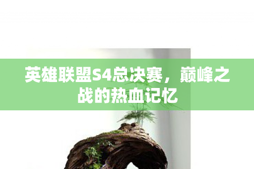 英雄联盟S4总决赛图片