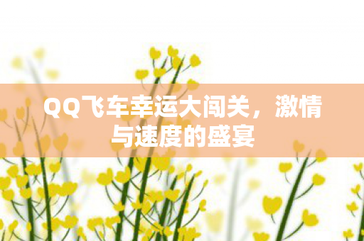 QQ飞车幸运大闯关图片