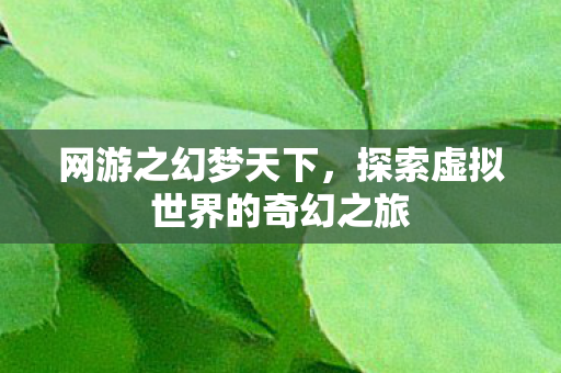 探索虚拟世界的奇幻之旅图片