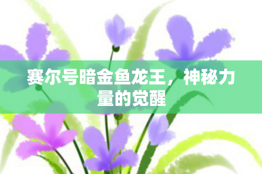 赛尔号暗金鱼龙王图片